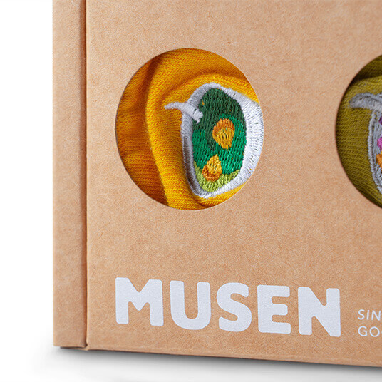 MUSEN：Boxed Meal Socks Gift Boxes