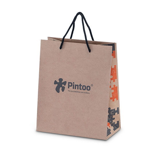 Pintoo : Medium Kraft Bags