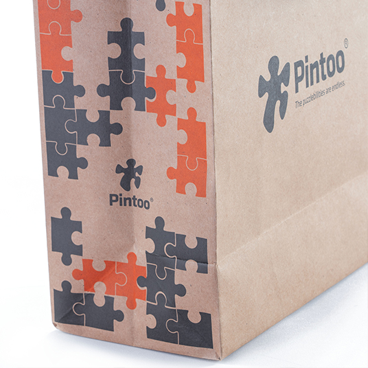 Pintoo : Medium Kraft Bags