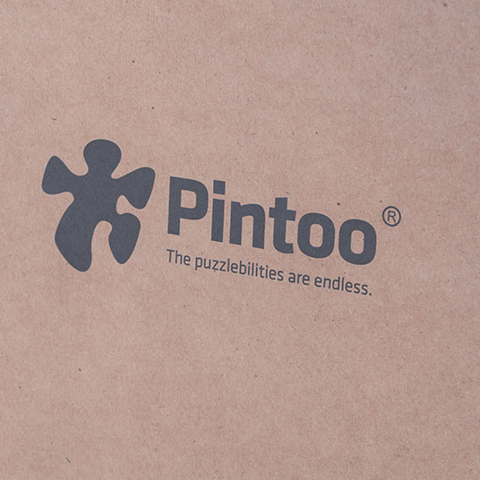 Pintoo : Medium Kraft Bags