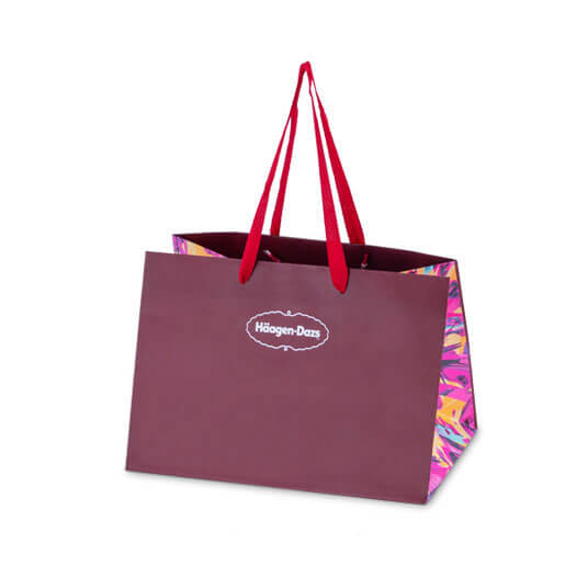 Häagen-Dazs : Macaron Gift Bags